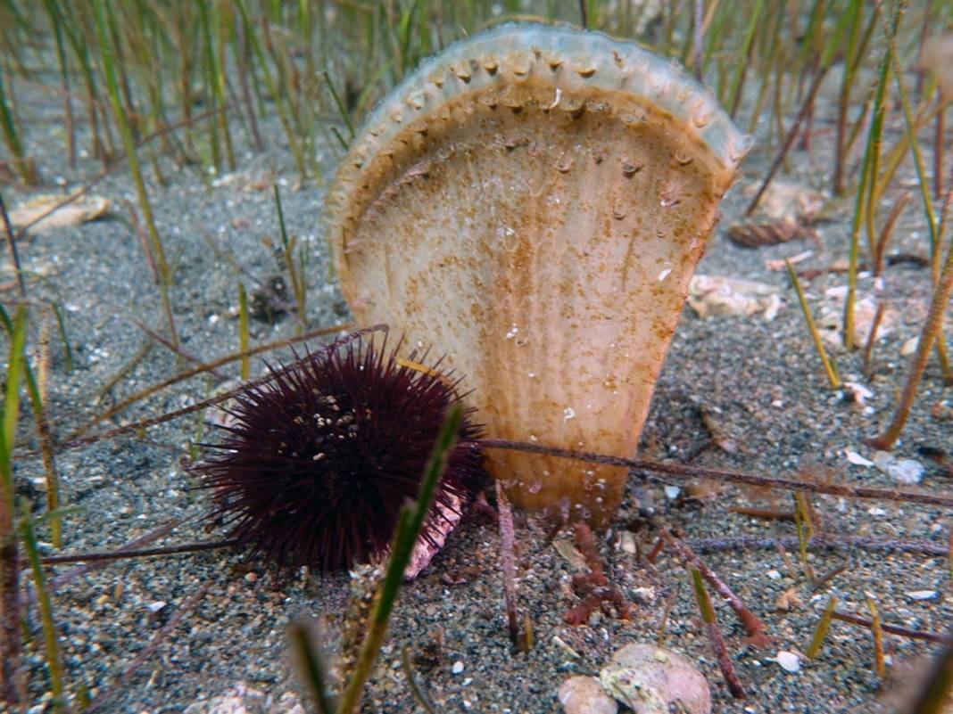 İstanbul'da bu semtleri terk edin! Uzman isim tarih verdi: Felaket üstüne felaket! 10
